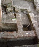 Cronica Cercetărilor Arheologice din România, Campania 2006. Raportul nr. 190