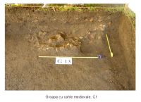 Cronica Cercetărilor Arheologice din România, Campania 2006. Raportul nr. 190