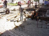 Cronica Cercetărilor Arheologice din România, Campania 2006. Raportul nr. 190
