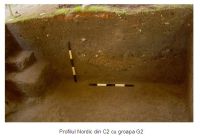 Cronica Cercetărilor Arheologice din România, Campania 2006. Raportul nr. 190