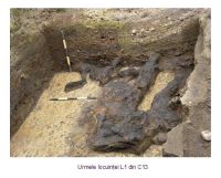 Cronica Cercetărilor Arheologice din România, Campania 2006. Raportul nr. 190
