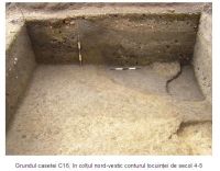 Cronica Cercetărilor Arheologice din România, Campania 2006. Raportul nr. 190