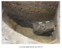 Cronica Cercetărilor Arheologice din România, Campania 2006. Raportul nr. 190