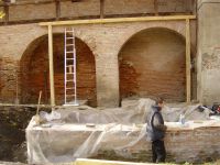 Cronica Cercetărilor Arheologice din România, Campania 2006. Raportul nr. 190
