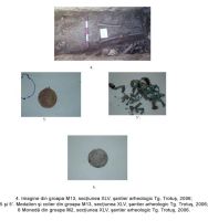 Cronica Cercetărilor Arheologice din România, Campania 2006. Raportul nr. 191