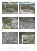 Cronica Cercetărilor Arheologice din România, Campania 2006. Raportul nr. 192