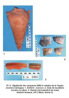 Cronica Cercetărilor Arheologice din România, Campania 2006. Raportul nr. 194