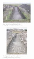 Cronica Cercetărilor Arheologice din România, Campania 2006. Raportul nr. 198
