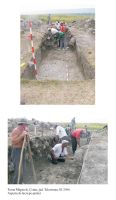 Cronica Cercetărilor Arheologice din România, Campania 2006. Raportul nr. 198