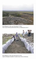 Cronica Cercetărilor Arheologice din România, Campania 2006. Raportul nr. 198