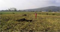 Cronica Cercetărilor Arheologice din România, Campania 2006. Raportul nr. 199