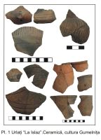 Cronica Cercetărilor Arheologice din România, Campania 2006. Raportul nr. 199