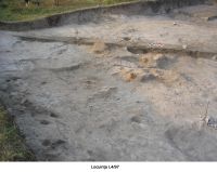 Cronica Cercetărilor Arheologice din România, Campania 2006. Raportul nr. 205