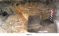 Cronica Cercetărilor Arheologice din România, Campania 2006. Raportul nr. 205