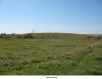Cronica Cercetărilor Arheologice din România, Campania 2006. Raportul nr. 205