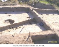 Cronica Cercetărilor Arheologice din România, Campania 2006. Raportul nr. 207