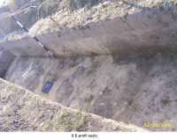 Cronica Cercetărilor Arheologice din România, Campania 2006. Raportul nr. 207