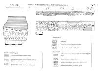 Cronica Cercetărilor Arheologice din România, Campania 2006. Raportul nr. 207