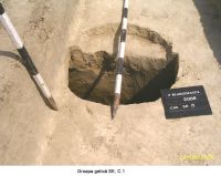 Cronica Cercetărilor Arheologice din România, Campania 2006. Raportul nr. 207