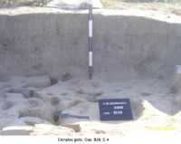 Cronica Cercetărilor Arheologice din România, Campania 2006. Raportul nr. 207