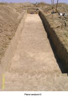 Cronica Cercetărilor Arheologice din România, Campania 2006. Raportul nr. 207