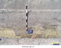 Cronica Cercetărilor Arheologice din România, Campania 2006. Raportul nr. 207