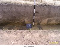 Cronica Cercetărilor Arheologice din România, Campania 2006. Raportul nr. 207