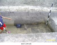Cronica Cercetărilor Arheologice din România, Campania 2006. Raportul nr. 207
