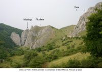 Cronica Cercetărilor Arheologice din România, Campania 2006. Raportul nr. 209