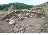 Cronica Cercetărilor Arheologice din România, Campania 2006. Raportul nr. 209
