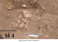 Cronica Cercetărilor Arheologice din România, Campania 2006. Raportul nr. 209
