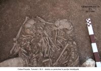 Cronica Cercetărilor Arheologice din România, Campania 2006. Raportul nr. 209