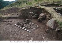 Cronica Cercetărilor Arheologice din România, Campania 2006. Raportul nr. 209