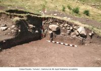 Cronica Cercetărilor Arheologice din România, Campania 2006. Raportul nr. 209