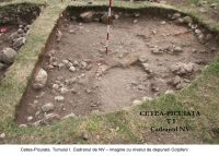 Cronica Cercetărilor Arheologice din România, Campania 2006. Raportul nr. 209