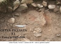Cronica Cercetărilor Arheologice din România, Campania 2006. Raportul nr. 209