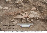 Cronica Cercetărilor Arheologice din România, Campania 2006. Raportul nr. 209