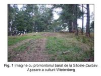 Cronica Cercetărilor Arheologice din România, Campania 2006. Raportul nr. 211