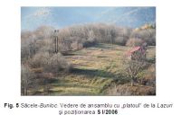 Cronica Cercetărilor Arheologice din România, Campania 2006. Raportul nr. 211