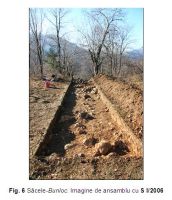 Cronica Cercetărilor Arheologice din România, Campania 2006. Raportul nr. 211