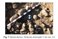 Cronica Cercetărilor Arheologice din România, Campania 2006. Raportul nr. 211