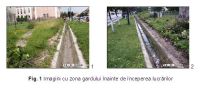 Cronica Cercetărilor Arheologice din România, Campania 2006. Raportul nr. 212