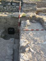 Cronica Cercetărilor Arheologice din România, Campania 2007. Raportul nr. 1.<br /> Sectorul basilica-cu-transept.