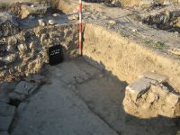 Cronica Cercetărilor Arheologice din România, Campania 2007. Raportul nr. 1.<br /> Sectorul basilica-cu-transept.