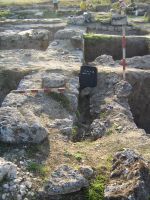 Cronica Cercetărilor Arheologice din România, Campania 2007. Raportul nr. 1.<br /> Sectorul basilica-cu-transept.