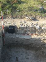 Cronica Cercetărilor Arheologice din România, Campania 2007. Raportul nr. 1.<br /> Sectorul basilica-cu-transept.