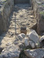 Cronica Cercetărilor Arheologice din România, Campania 2007. Raportul nr. 1.<br /> Sectorul basilica-cu-transept.