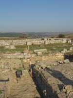 Cronica Cercetărilor Arheologice din România, Campania 2007. Raportul nr. 1.<br /> Sectorul basilica-cu-transept.