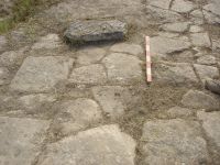 Cronica Cercetărilor Arheologice din România, Campania 2007. Raportul nr. 1.<br /> Sectorul basilica.