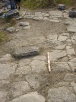 Cronica Cercetărilor Arheologice din România, Campania 2007. Raportul nr. 1.<br /> Sectorul basilica.